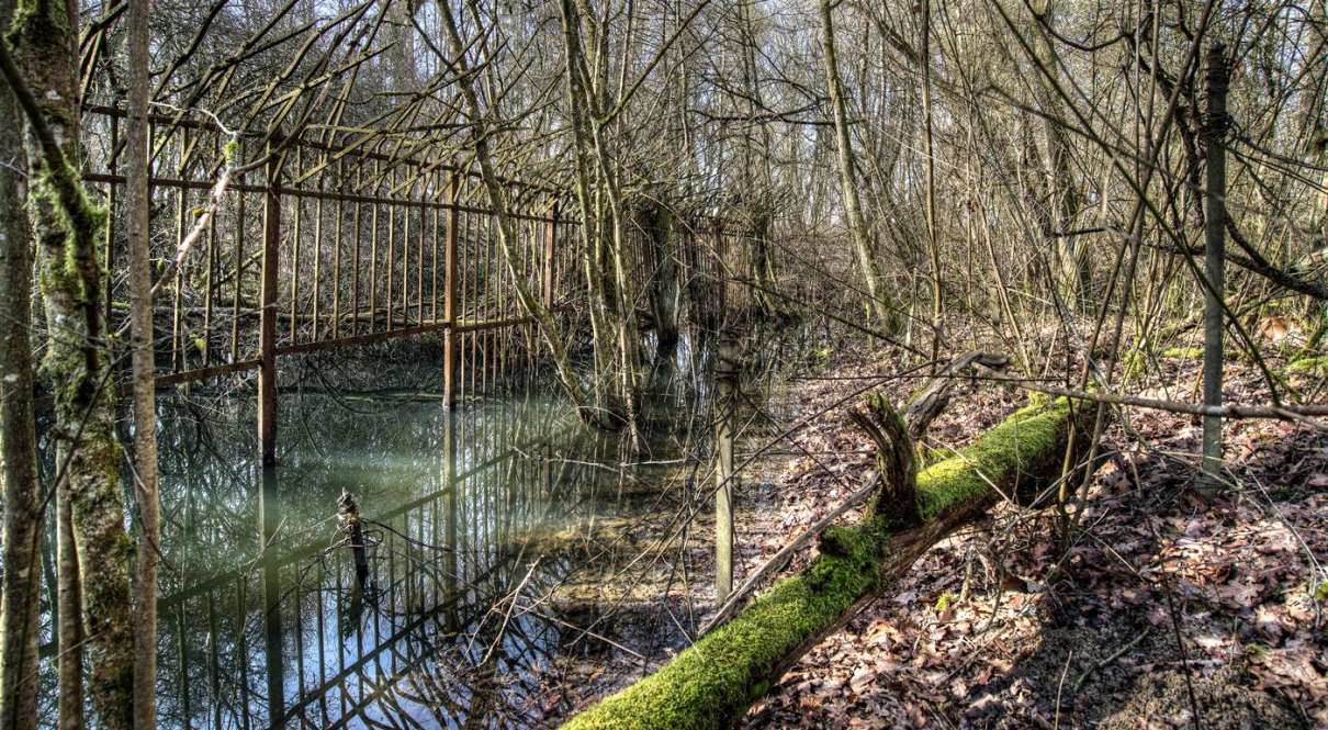 Wem Gehört Elsass Lothringen Heute