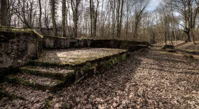 Feste Wagner Feste Wagner