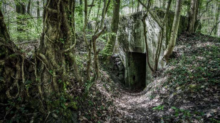 Strukturen des Westwalls