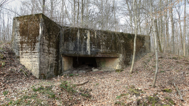 Regelbauten des Westwalls