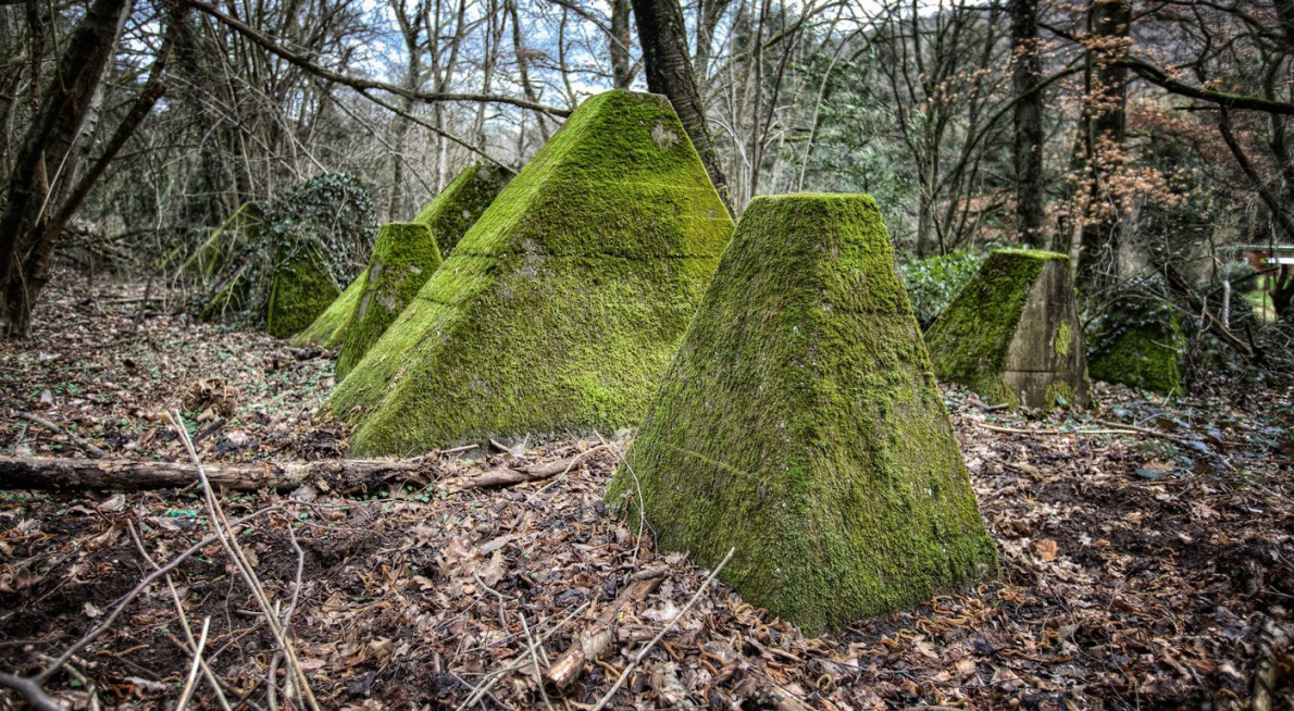 Westwall - Panzersperre bei Saarbrücken - Drachenzähne im Almet