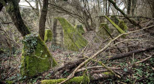 Westwall - Panzersperre bei Saarbrücken - Drachenzähne im Almet Westwall - Panzersperre bei Saarbrücken - Drachenzähne im Almet