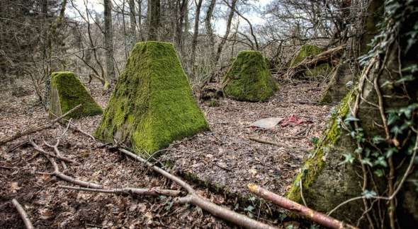 Westwall - Panzersperre bei Saarbrücken - Drachenzähne im Almet Westwall - Panzersperre bei Saarbrücken - Drachenzähne im Almet