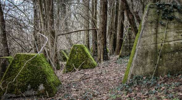 Westwall - Panzersperre bei Saarbrücken - Drachenzähne im Almet Westwall - Panzersperre bei Saarbrücken - Drachenzähne im Almet