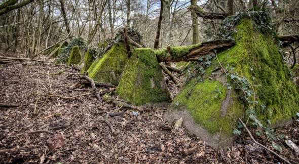 Westwall - Panzersperre bei Saarbrücken - Drachenzähne im Almet Westwall - Panzersperre bei Saarbrücken - Drachenzähne im Almet