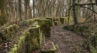 Moselstellung - Infanteriestellung der Festung Obergentringen