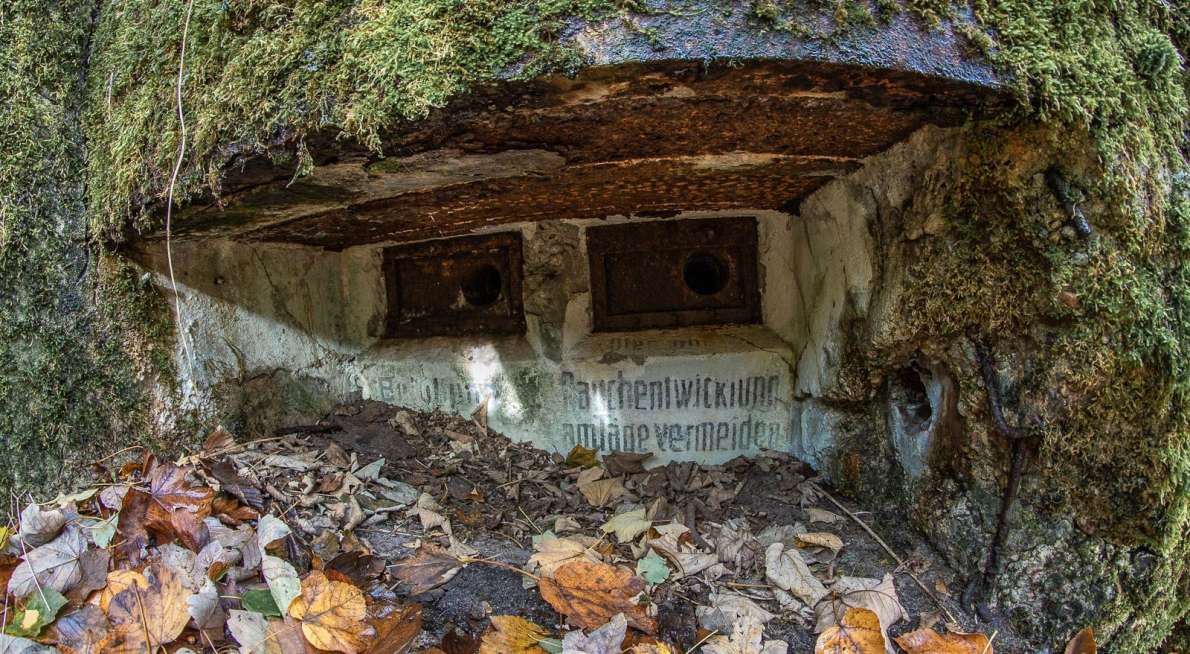 (c) wytrazekpiotr 123rf.com Bild 110749689