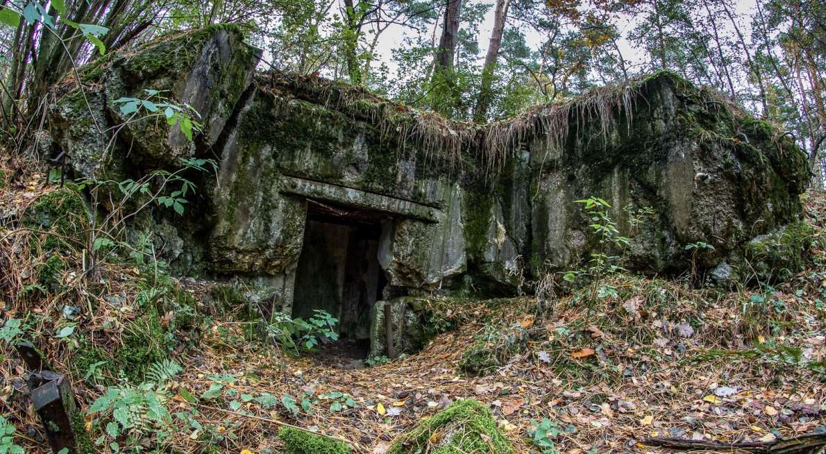 (c) wytrazekpiotr 123rf.com Bild 110750815