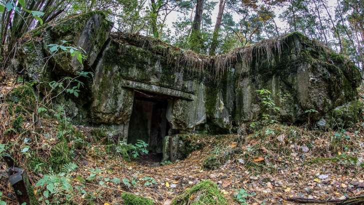 Panther-Stellung des Ostwalls