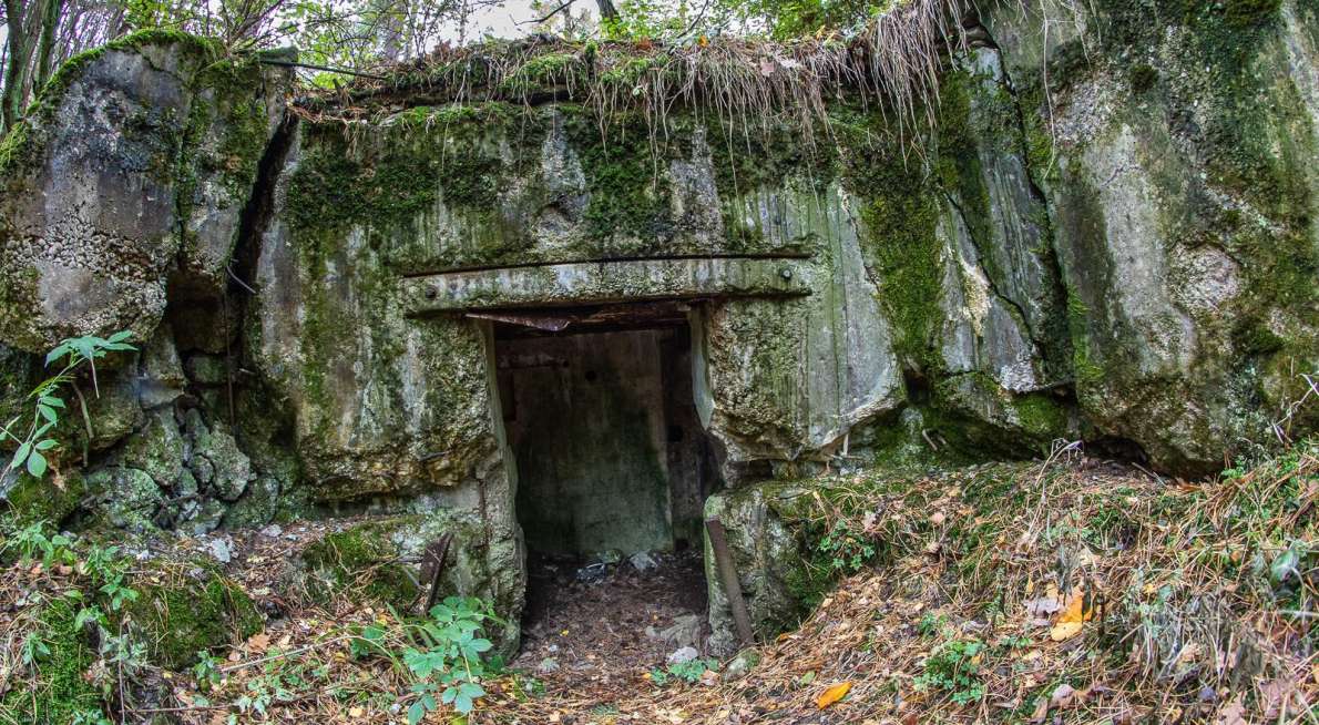 (c) wytrazekpiotr 123rf.com Bild 110750817