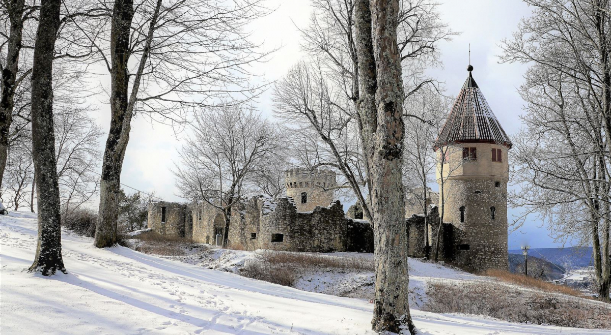 Festung in Deutschland - Burg Honberg