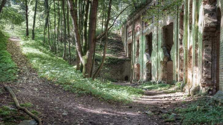 Festung Küstrin (Polen)