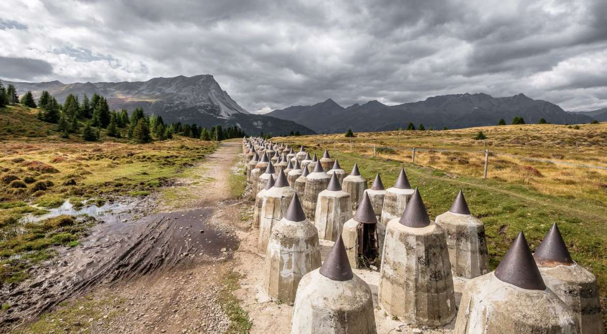 (c) Chris Rinckes - Alamy Stock Foto - Bild - 2DCCT19